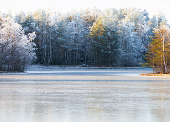 Voyage au sein de M.F.I