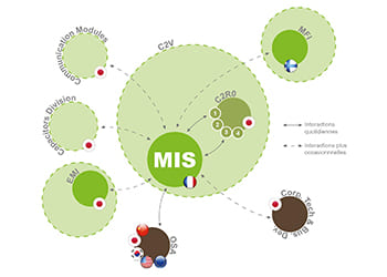 MIS dans l’arbre Murata