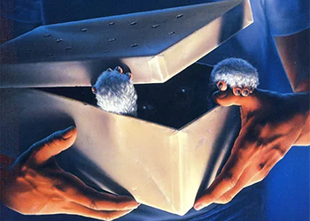 Conseil de Muratiens : si vous aimez Noël…