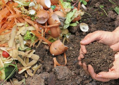 Conseil de Muratiens : Réussir son compost