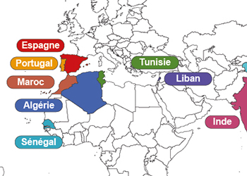 La diversité chez Murata Caen