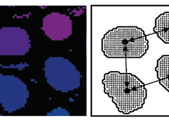 Le Service Système d’Information