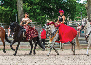 Un été riche en couleurs
