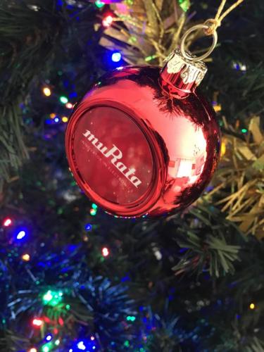 Christophe_GERARD (1)